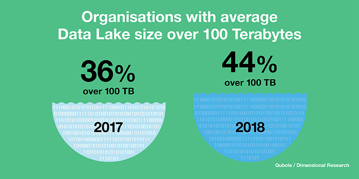 Organizations with average data lake size over 100 terabytes