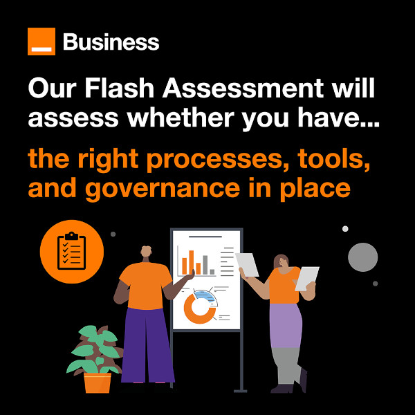 Our Flash Assessment will assess whether you have the right processes, tools and governance in place