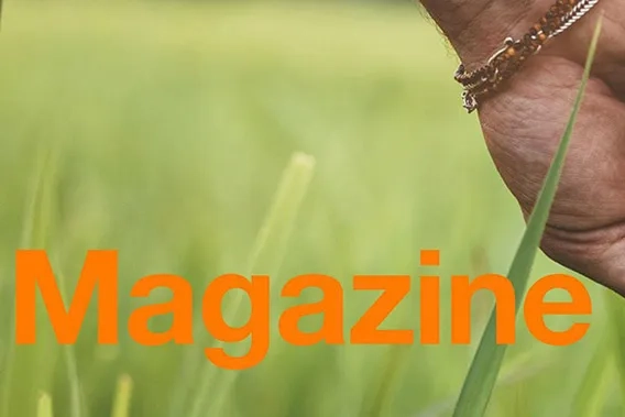 magazine orange.com